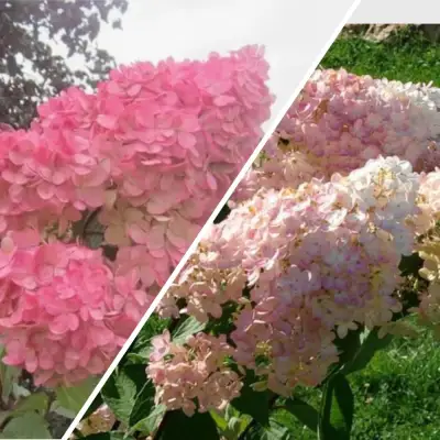 Комплект МНОГОГРАННОСТЬ в Мозыре