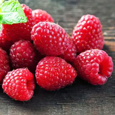 Малина ЭРИКА в Мозыре