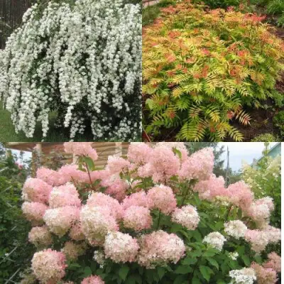 Комплект ФЕЙЕРВЕРК ЛЕТА в Мозыре