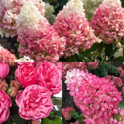 Комплект МАЛИНОВЫЙ ДЕСЕРТ в Мозыре