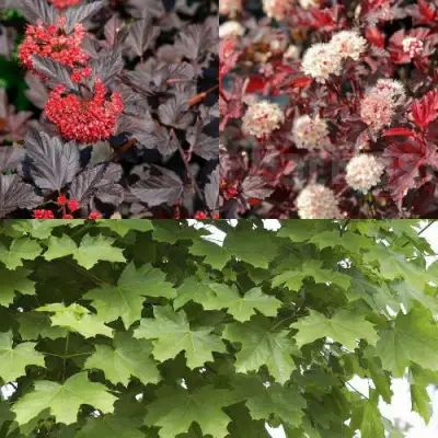 Комплект ОСЕННИЙ КОСТЕР в Мозыре