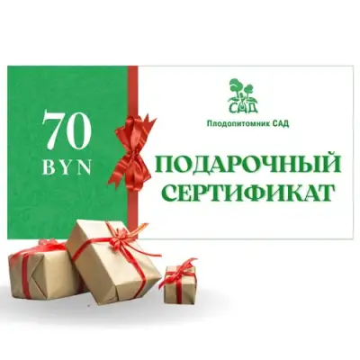 Подарочный сертификат на  70 BYN в Мозыре