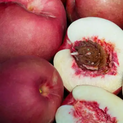 НЕКТАПЛЮМ в Мозыре