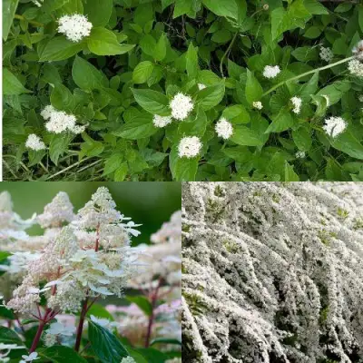 Комплект СКАНДИНАВСКИЙ СТИЛЬ в Мозыре