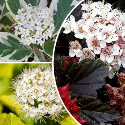 Комплект ЯРКАЯ ВСПЫШКА в Мозыре