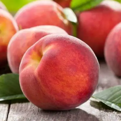 Персик МАЙСКИЙ ЦВЕТОК в Мозыре