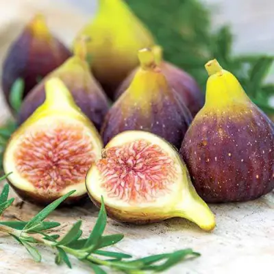 Инжир НИКИТСКИЙ в Мозыре