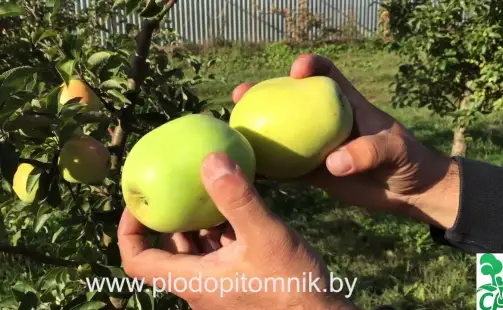 Превью видео