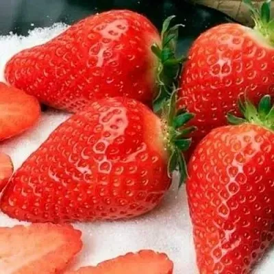 Клубника АЛЬБА  Клубника АЛЬБА в Мозыре