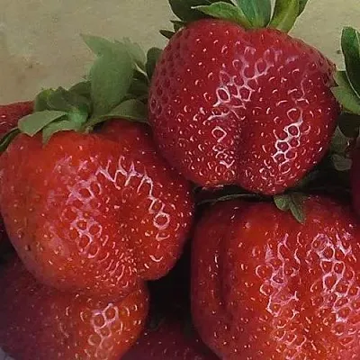 Клубника ДЕСТЕНИ  Клубника ДЕСТЕНИ в Мозыре