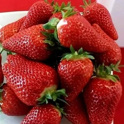 Клубника БРИЛЛА  Клубника БРИЛЛА в Мозыре