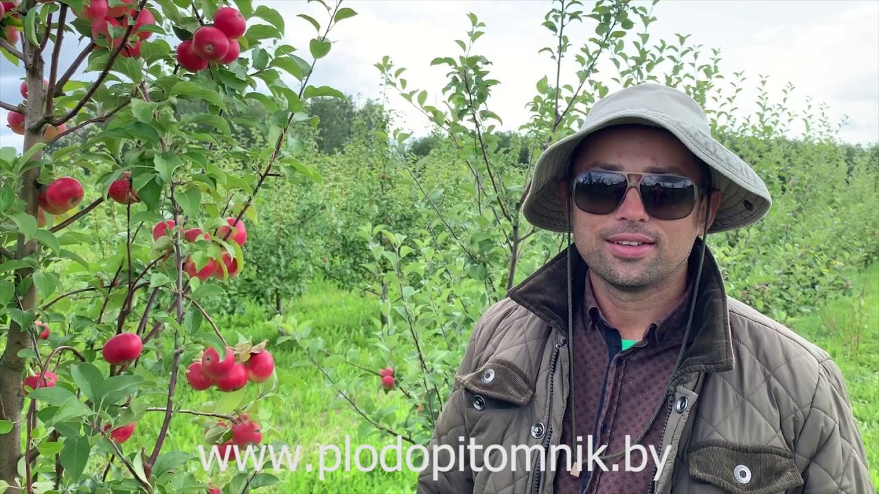 Превью видео