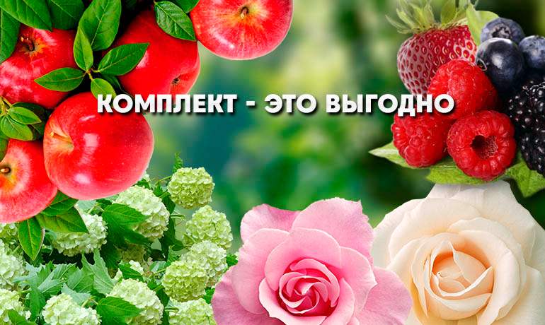 Комплекты от Плодопитомник Сад Комплекты от Плодопитомник Сад