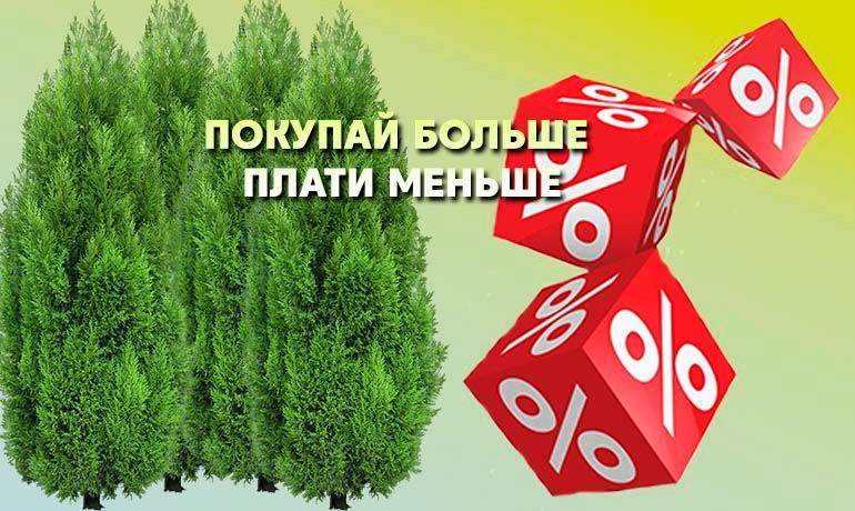Покупай больше - плати меньше, вместе с Плодопитомник Сад Покупай больше - плати меньше, вместе с Плодопитомник Сад