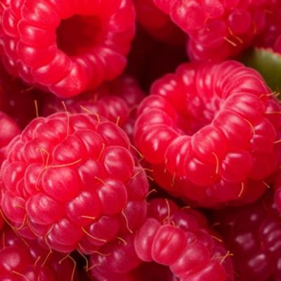 Красная в Мозыре