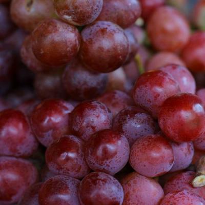 Красный в Мозыре