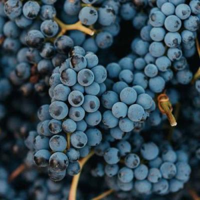 Технический в Мозыре