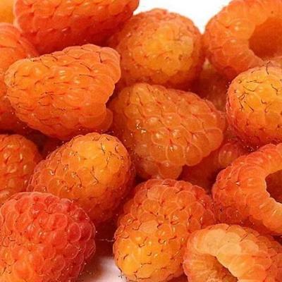 Оранжевая в Мозыре