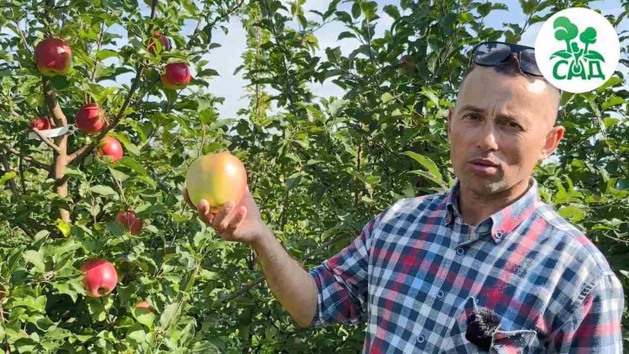 Превью видео